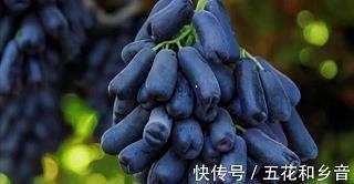 暗恋一个人伤感句子83句