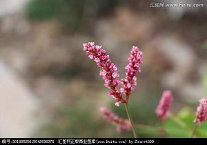 梦想励志短句 2022最火励志金句