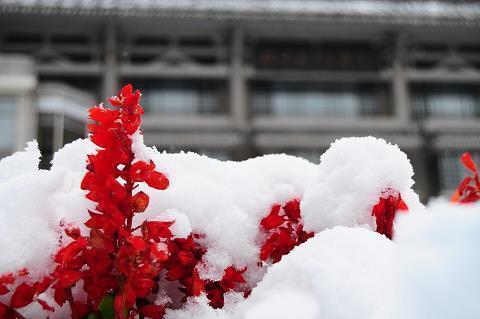 自尊心被打击的说说 自尊心被打击后的感慨语录26句