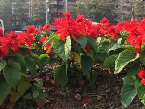 积极晚安语录收录27句