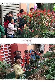 清晨的阳光唯美句子 每日早安问候语(精选50句)