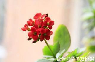 跑步文案短句干净治愈(精选35句)