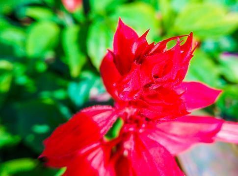 生活不容易经典句子 生活不易的句子汇编31句