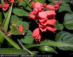 正能量女孩短句 女人坚强一点，没有他你照样能活的很好