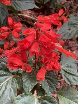 激励读书的名言名句 激励读书的句子简短推荐70句