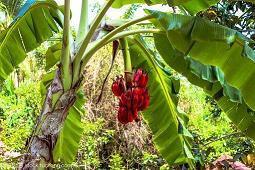 给人正能量的句子