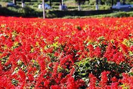 禅语悟道心灵禅语大全收录17句