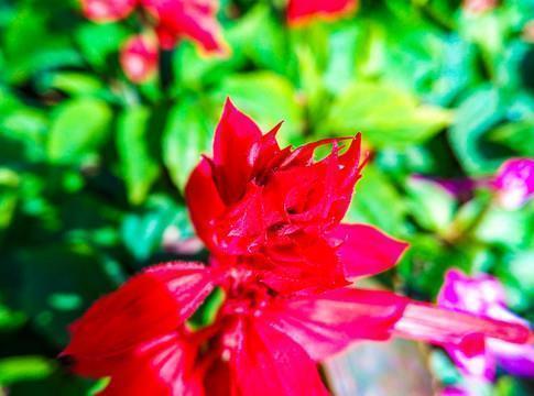 暖心句子唯美简短