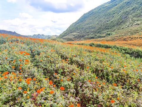 说说情感语录与感悟的经典短句 思念就跟爱情一样是会耗尽的