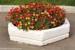 美好一天的心情短语 心情好的句子唯美短句汇总80句