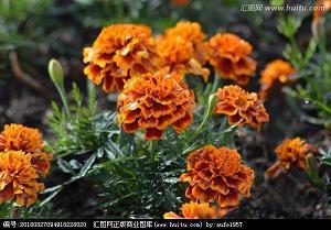 解不开心结的句子