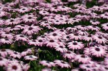 关于爱情甜蜜唯美句子92句