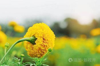 骂多管闲事的人的句子 讽刺没事找事的人句子