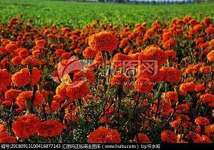 祝姐妹聚会开心的句子 姐妹们聚会开心语短句