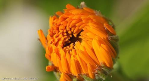 2021正能量努力的句子77句