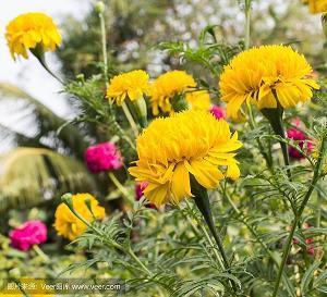 给孩子开心快乐的句子