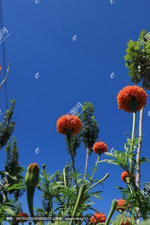 多余的话 多余的人的伤悲句子49句