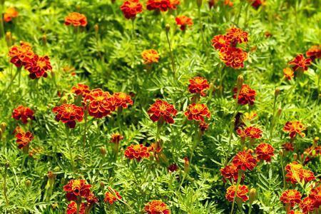 适合周五发朋友圈的句子