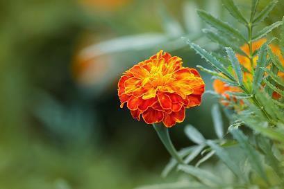 周末正能量的句子(精选85句)