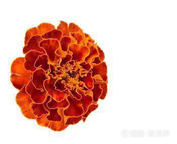 五一劳动节标语简短 五一劳动节短句汇编75句