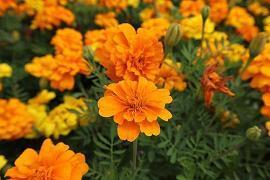 10月心情说说文案大全(精选83句)