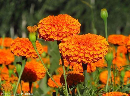 童年快乐简短的句子