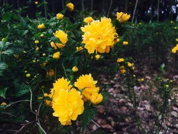 最吸引人必评论的说说 高情商发圈被秒赞的句子推荐77句