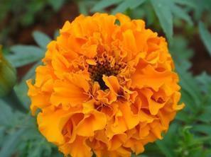 经典语录太经典了霸气短句汇总39句