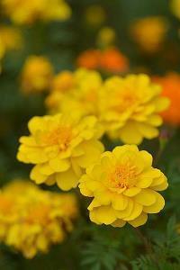 看似简单却有深度的话 很短但深入人心的句子(精选60句)