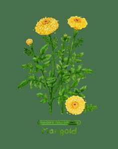 看淡一切释然的短句 一个人安静淡然句子(精选72句)