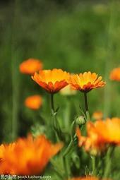 网红地拍照发朋友圈文字句子 网红地打卡的朋友圈说说