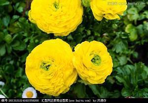 温柔到爆的短句 超级温柔的神仙句子(精选55句)