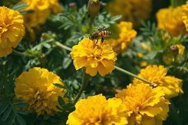 人生感悟的简短说说句子