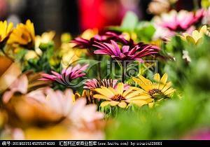 祝福中秋国庆的好句段大全