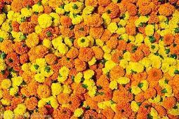 清明节祭英烈朋友圈温馨文案
