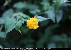 让人极度心寒的句子