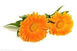 很甜很撩的古风句子 很甜的小短句(精选38句)