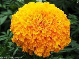 清晨收到红包的说说 收到红包幽默感谢语