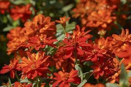 美丽人生句子85句