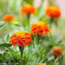 清晨发朋友圈的说说 早晨的句子发朋友圈(精选80句)