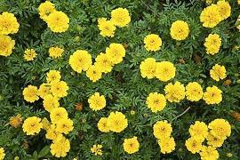 让人豁达的生活哲理的句子推荐41句