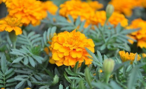 相遇就是缘分简短句子所有的相遇是一种缘分的美句