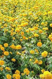 微信朋友圈伤感的心情说说20句