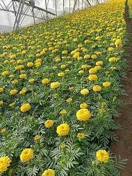 致自己努力奋斗的句子短句汇总45句