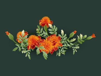 调侃天气热的段子 形容天气热的文案(精选36句)