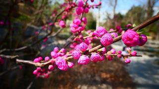 书法经典句子77句