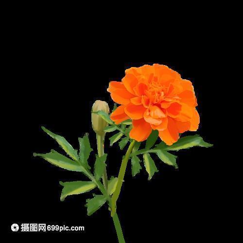 有关于回忆的经典句子推荐52句