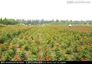 表达两个人一起奋斗的句子30句