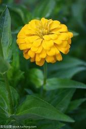 简短的失望透顶的句子 失望心凉的说说48句