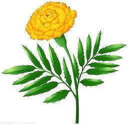 爱情委婉表白的句子 委婉表白的句子汇总精选37句